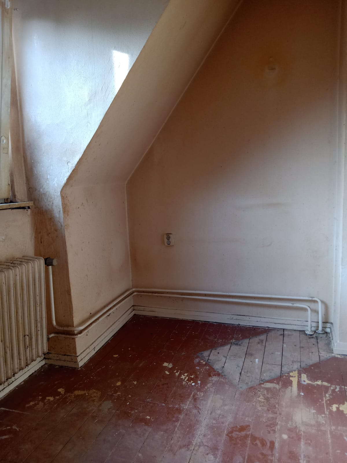 Wohnzimmer-Wilhelmshaven-nachher Haushaltsauflösung einer Messiewohnung in Bad Zwischenahn